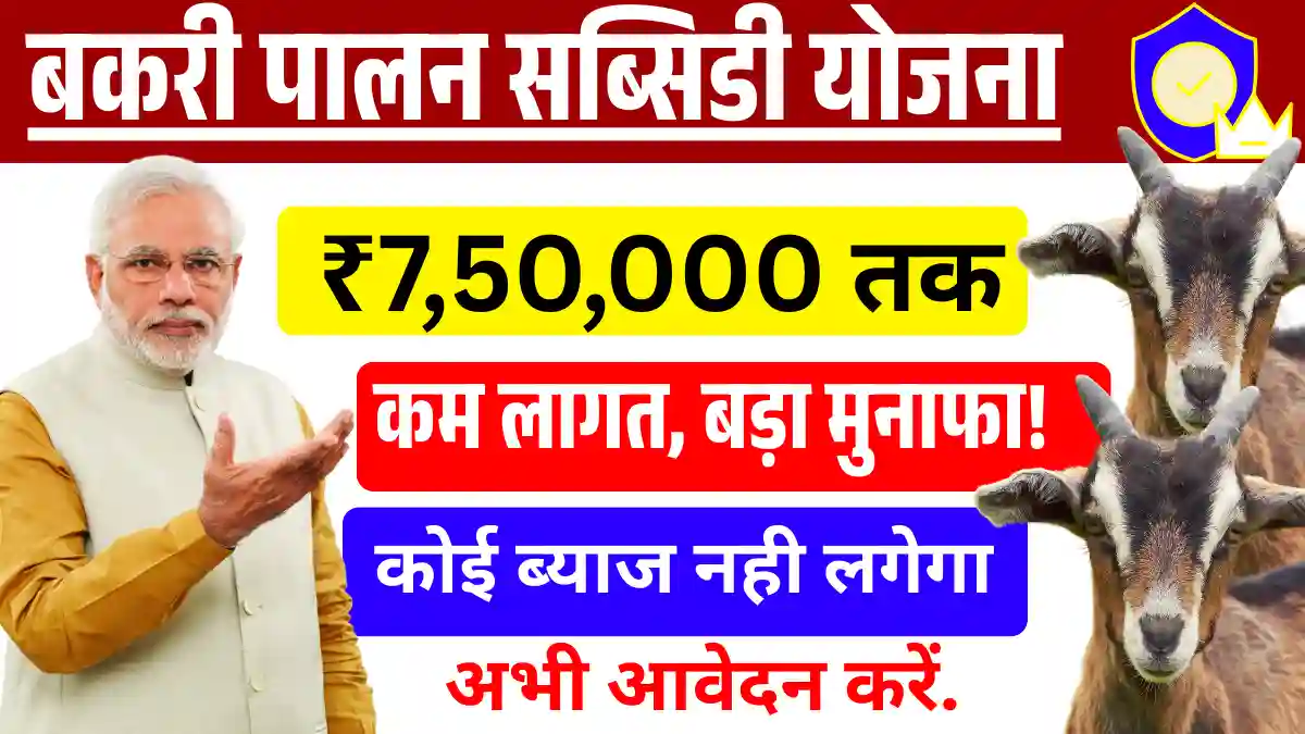 Goat & Sheep Farming